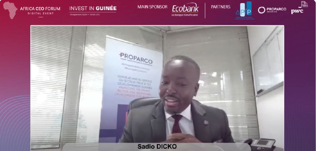 Intervention de Sadio Dicko en webinaire
