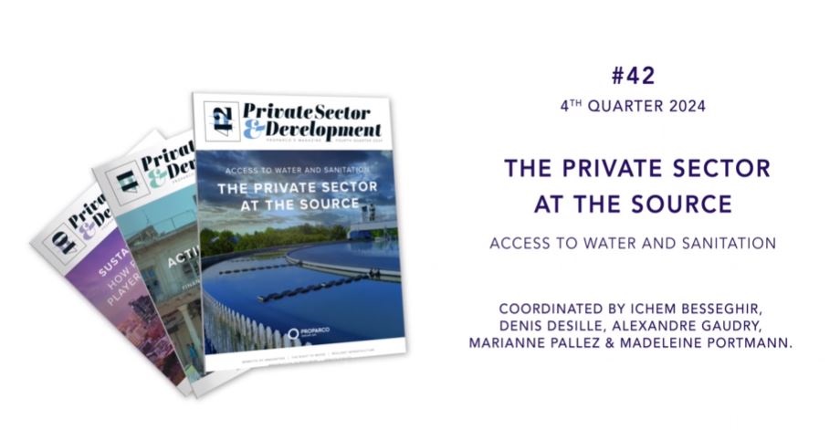 Private Sector & Development 42
