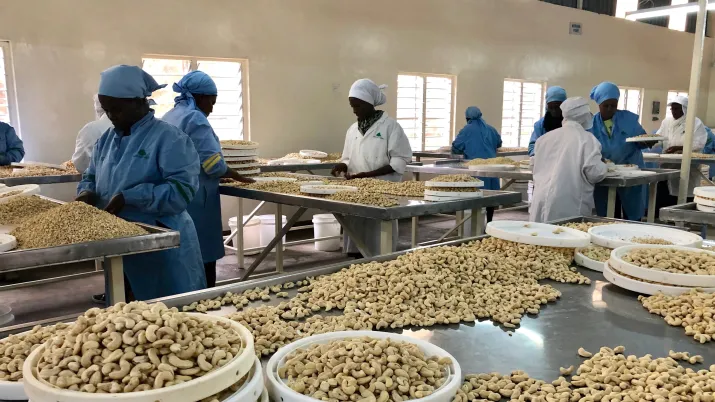 Employées de Kenya Nut