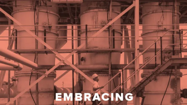 Embracing the challenges of sustainable industrial development