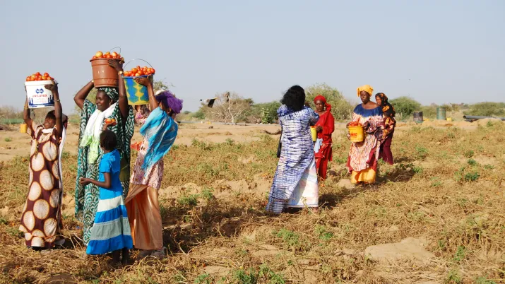 Philipe Lissac – Fondation Grameen Crédit Agricole