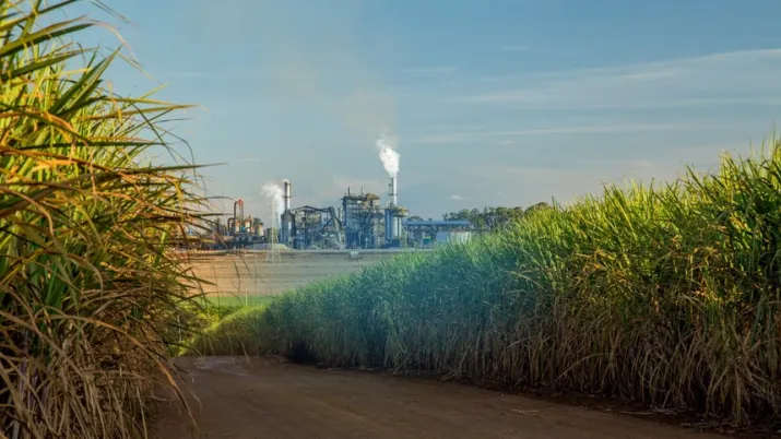 Tereos Bresil climat investment