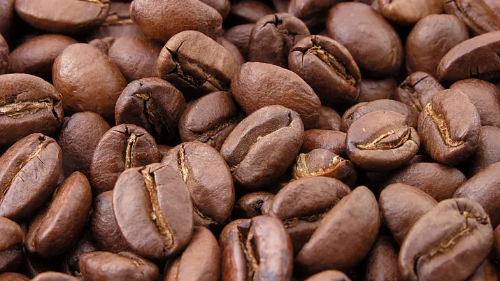 coffee touton trade finance africa