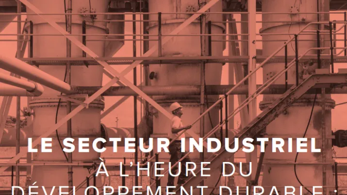 Secteur Privé & Développement