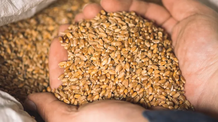 garantie trade finance 2024 proparco bred cerealis sécurité alimentaire FARM