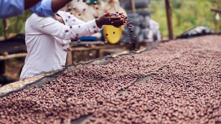 Café-Afrique