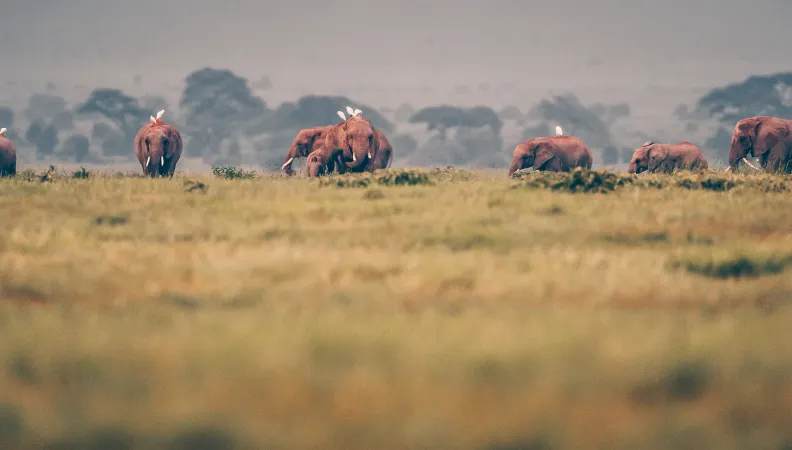 kenya-serena-hotels-tourismedurable