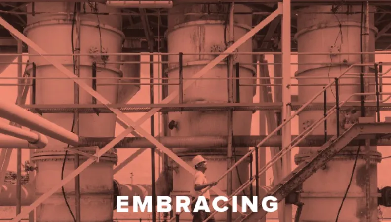 Embracing the challenges of sustainable industrial development