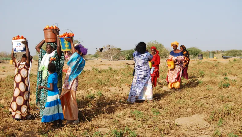 Philipe Lissac – Fondation Grameen Crédit Agricole