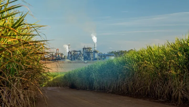 Tereos Bresil climat investment