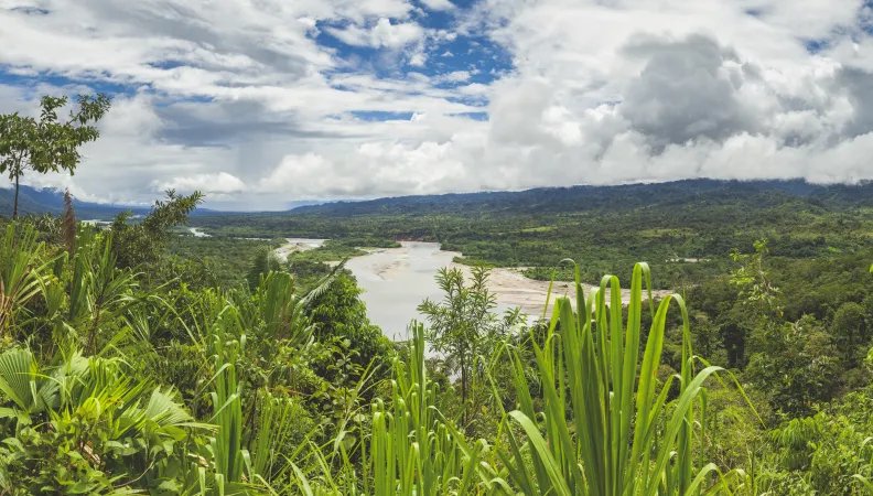 Adaptation climat et biodiversité
