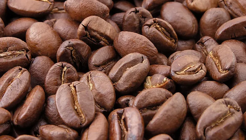 coffee touton trade finance africa