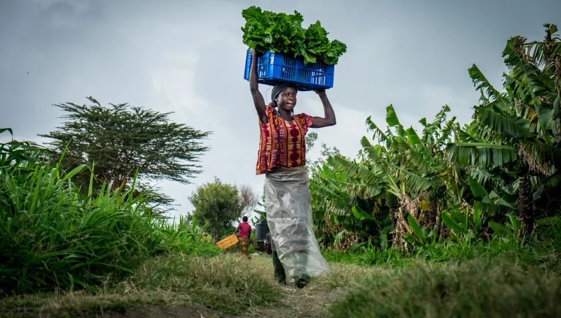 Sécurité alimentaire