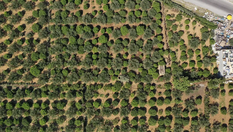 Tunisia, fields, irrigation, waste water