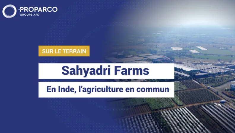 Proparco - Sahyadri Farms