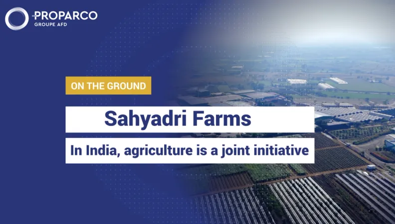 Proparco - Sahyadri Farms