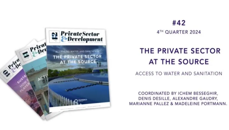 Private Sector & Development 42