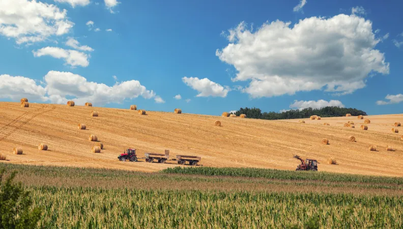 serbia proparco small farmers small businesses 3bank