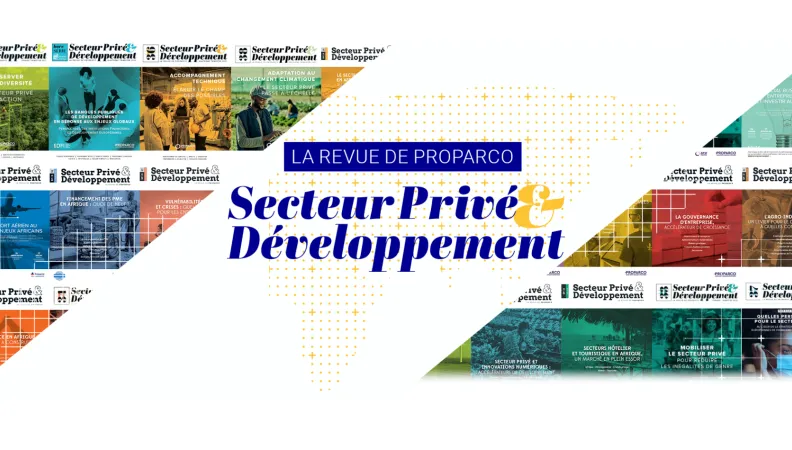 Secteur privé et développement