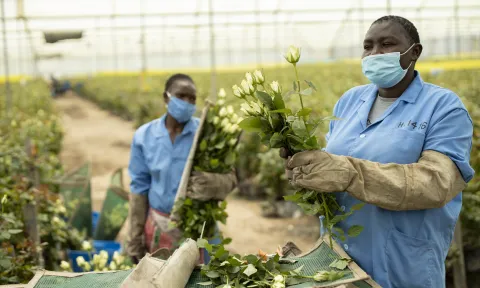 Kenya Bigot Flowers Ferme - ouvriers