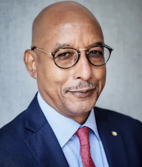 Ibrahim Assane Mayaki